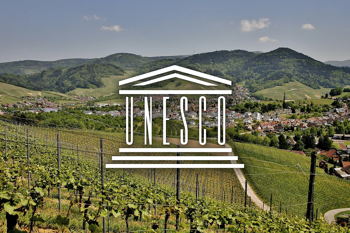 chateau_kaldi_about_us_galery_v5