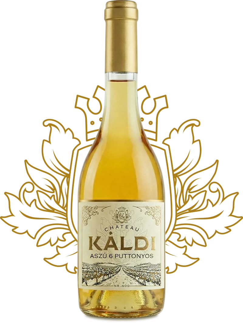 chateau_kaldi_borok_v1b