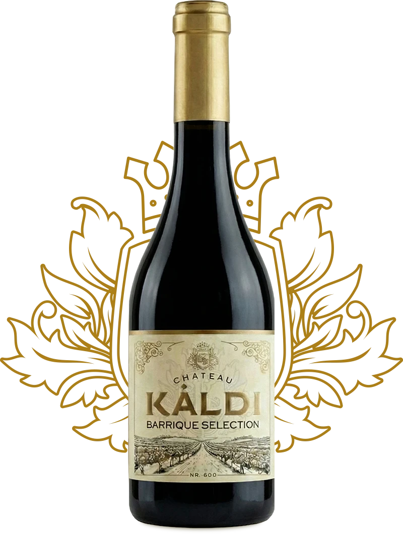 chateau_kaldi_borok_v3