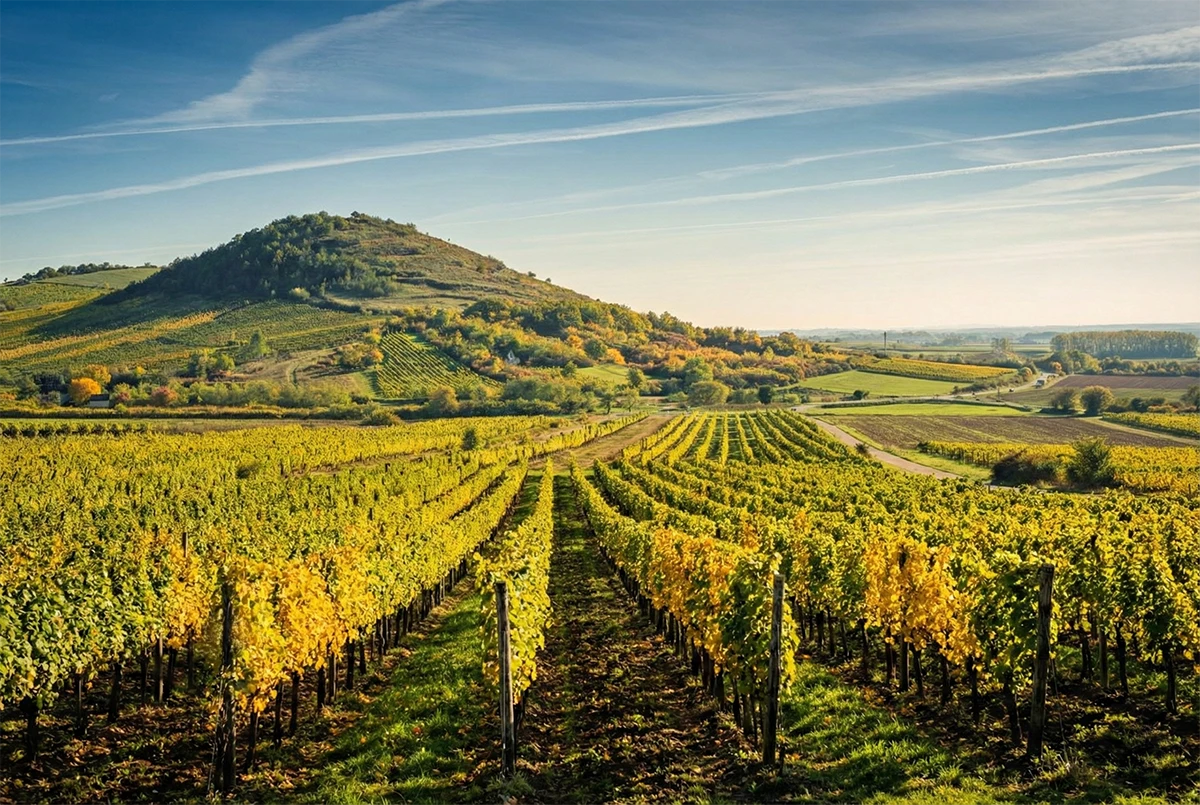 chateau_kaldi_winery_gallery_v1