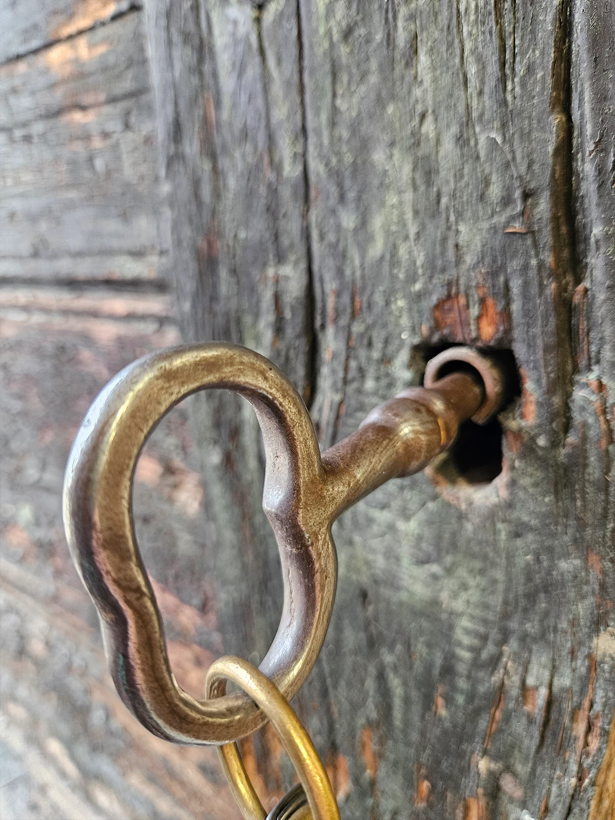 chateau_kaldi_winery_gallery_v4